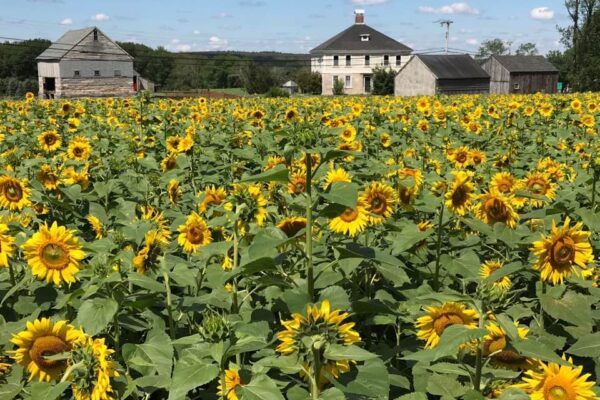 sightseeing short term rentals in Connecticut