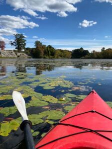 kayakingonpachaug